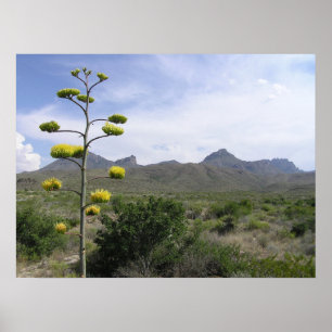 Chisos Mountains - Big Bend, Texas Poster