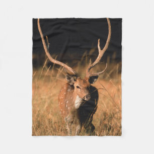 Chital Natural Habitat   Bandhavgar National Park Fleece Blanket