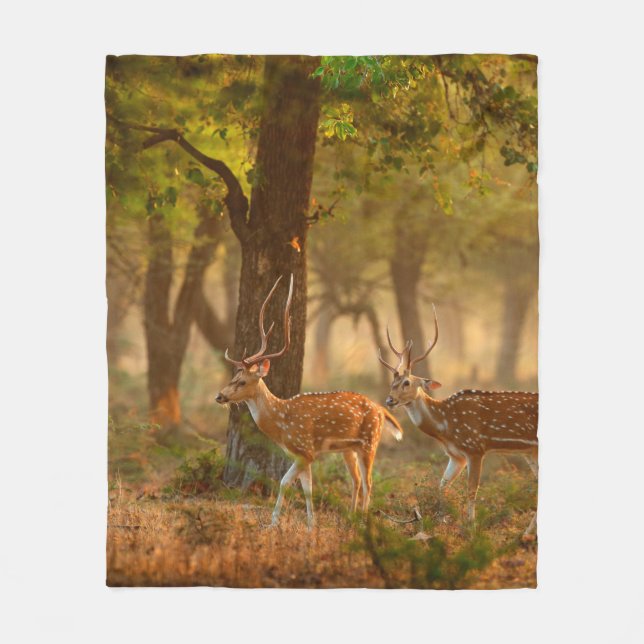 Chital or cheetal, Axis axis, spotted deers or axi Fleece Blanket (Front)