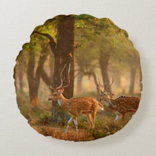 Chital or cheetal, Axis axis, spotted deers or axi Round Cushion