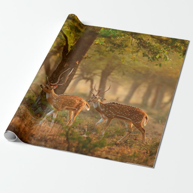 Chital or cheetal, Axis axis, spotted deers or axi Wrapping Paper (Unrolled)
