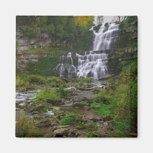 Chittenango Falls Magnet