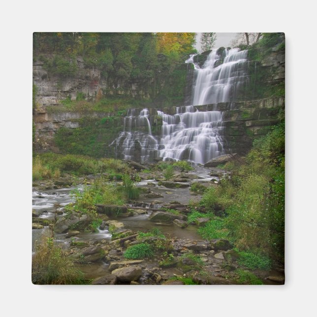 Chittenango Falls Magnet (Front)