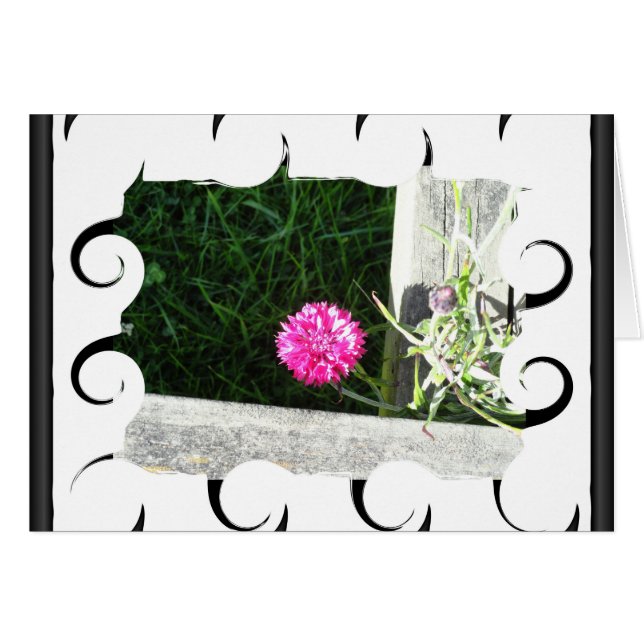 Chive (Front Horizontal)