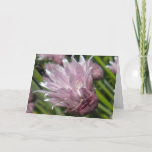Chive Blossom Greeting card (blank)