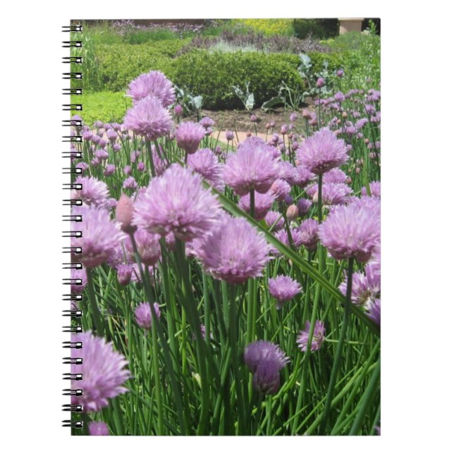 Chive Blossoms Notebook (Front)