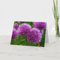 Chive Flowers Thinking of You Card