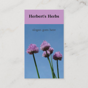 Chive Herb Flower Bloom Business Card