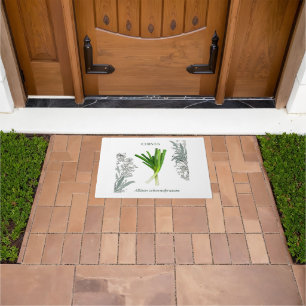 Chives — Allium schoenoprasum Doormat