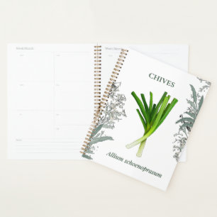 Chives — Allium schoenoprasum Planner
