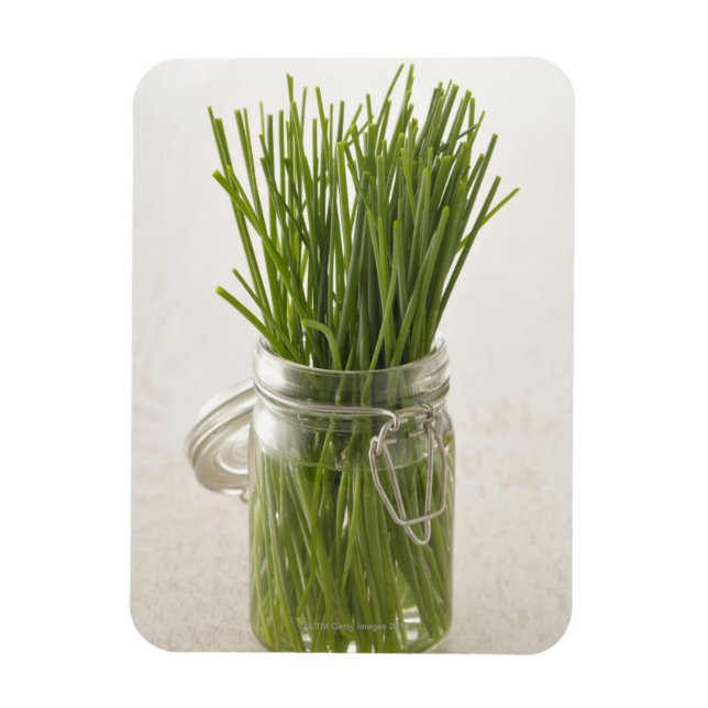 Chives Magnet (Vertical)