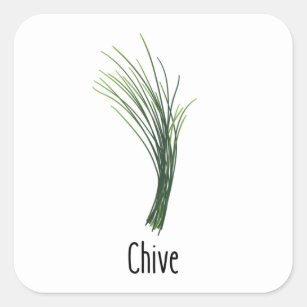 Chives Spices Herbs Square Sticker
