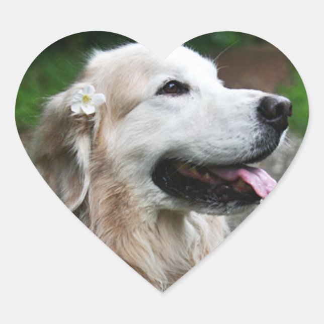 CHO CHO Sheet of stickers (Front)