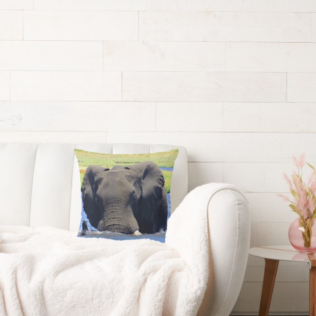 Chobe Elephant throw Pillow (Couch)