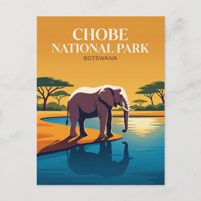 Chobe National Park Botswana Postcard (Front)