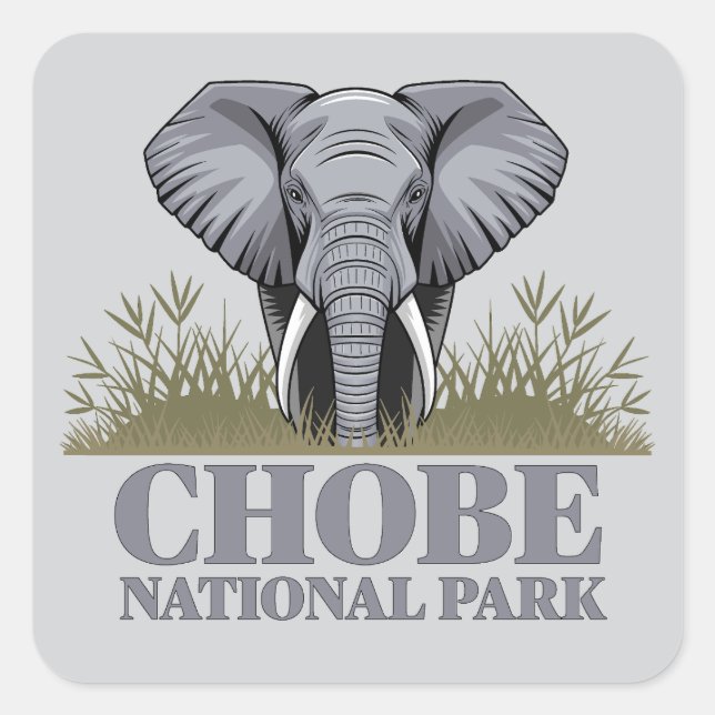 Chobe National Park Botswana Square Sticker (Front)