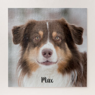 Chocolate Australian Shepherd Puppy Dog Jigsaw Puzzle