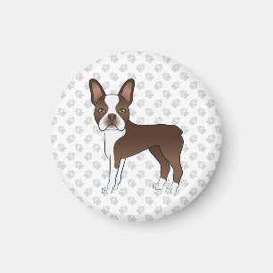 Chocolate Brown Boston Terrier Cartoon Dog & Paws Magnet