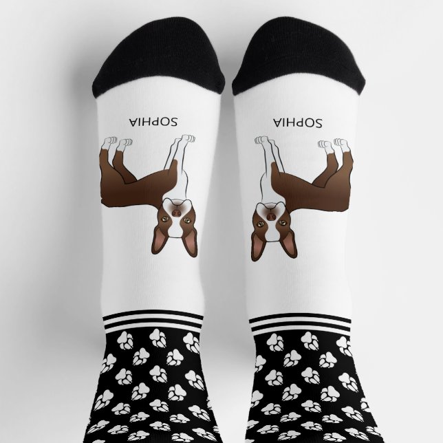 Chocolate Brown Boston Terrier With Name And Paws Socks (Top)