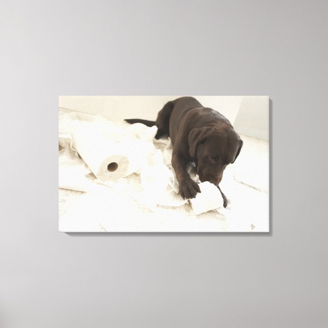 Chocolate brown labrador. canvas print (Front)
