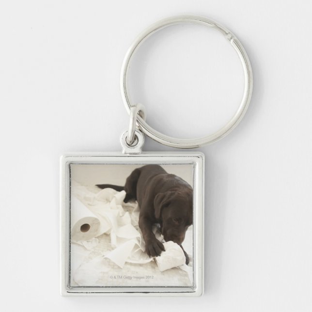 Chocolate brown labrador. key ring (Front)