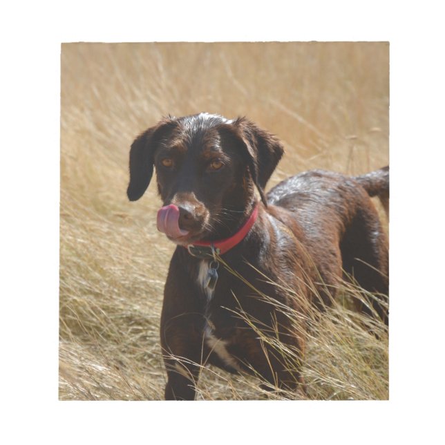 Chocolate Brown Labrador Retriever Notepad (Front)
