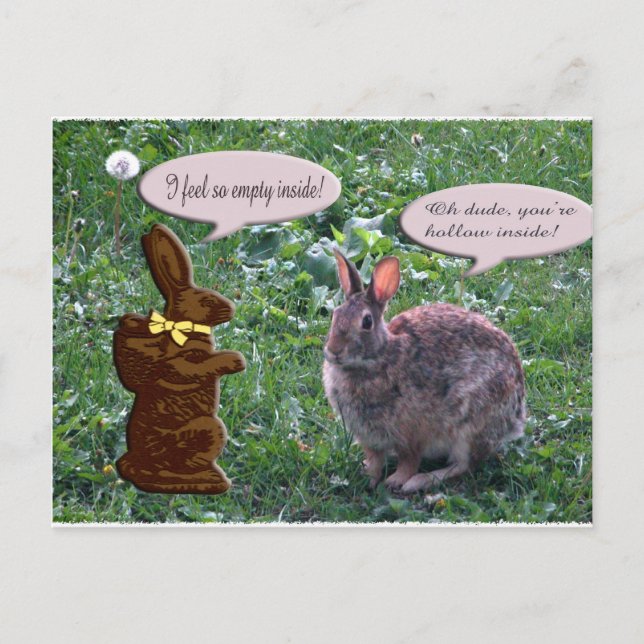 Chocolate Bunny Postcard (Front)