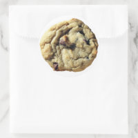 Chocolate Chip Cookie Photograph