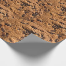 chocolate chip cookie