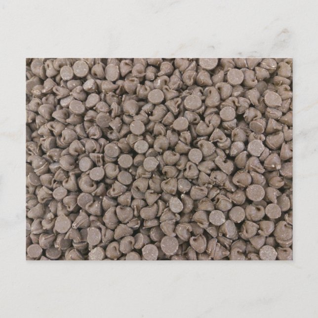 Chocolate Chip Postcard (Front)