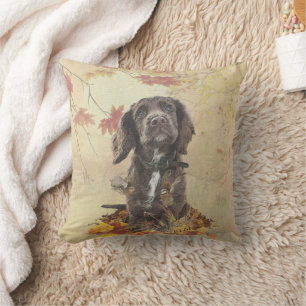 Chocolate cocker spaniel puppy cushion