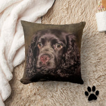 Chocolate Cocker Spaniel Throw Pillow