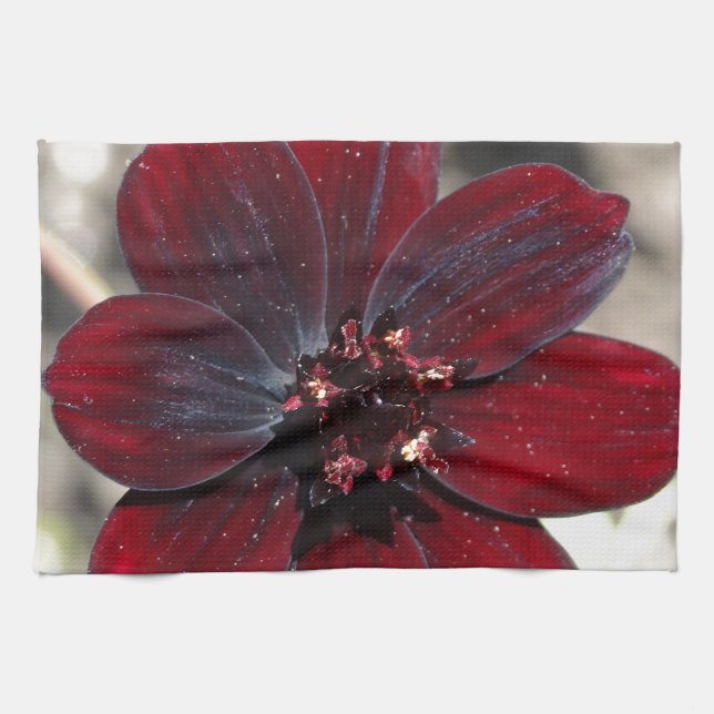 Chocolate Cosmos Flower Tea Towel (Horizontal)