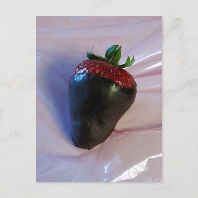 Chocolate Covered Strawberry Postcard (Front)