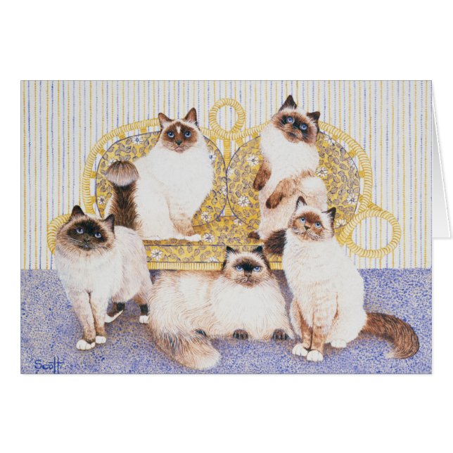 Chocolate creams (Front Horizontal)