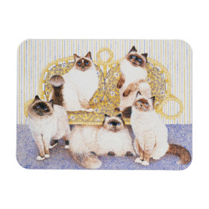 Chocolate creams magnet