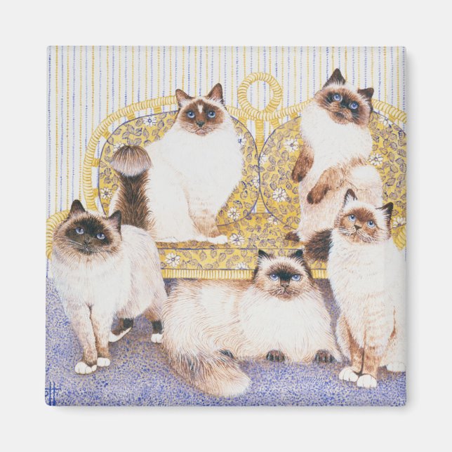 Chocolate creams magnet (Front)