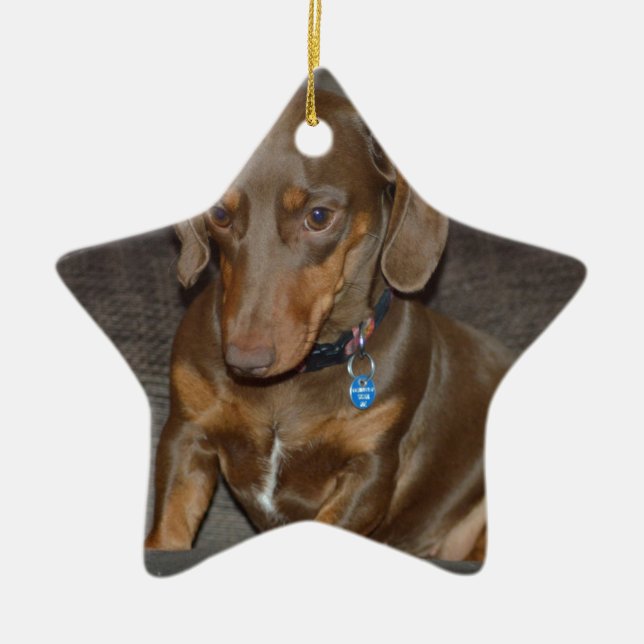 Chocolate Dachshund Ceramic Tree Decoration (Front)
