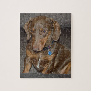 Chocolate Dachshund Jigsaw Puzzle