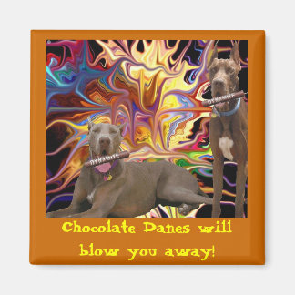 Chocolate Dane Blast Magnet