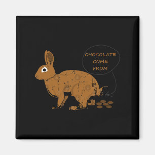 Chocolate Eggs From Easter Day Magnet