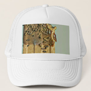 Chocolate ice cream popsicle trucker hat