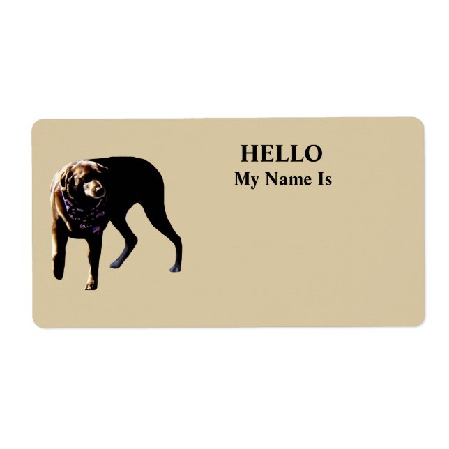 Chocolate Lab (Front)
