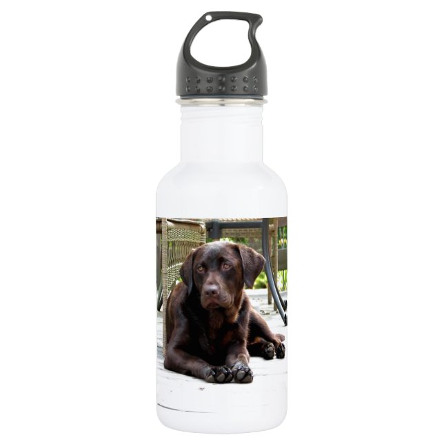 Chocolate Lab 532 Ml Water Bottle (Front)
