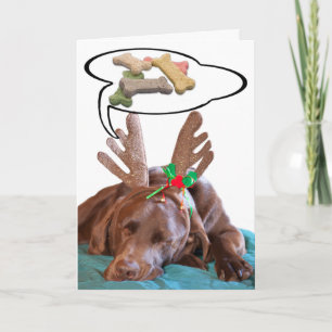 Chocolate Lab Antlers Treats Photo Personalised Holiday Card
