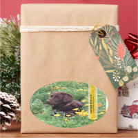 Chocolate Lab California Poppy Patch Personalised