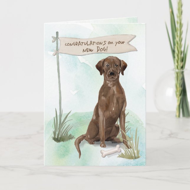 Chocolate Lab Congratulations on New Dog Card (Front)