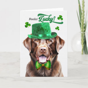 Chocolate Lab Dog Feelin' Lucky St Patrick's Day Holiday Card