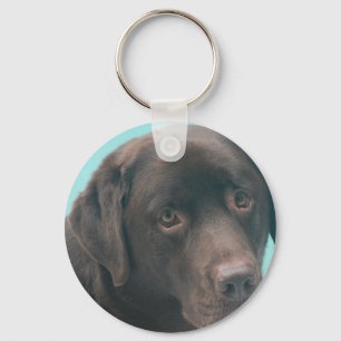 Chocolate Lab Dog Keychain