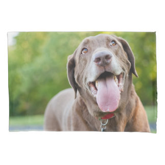 Chocolate Lab Dog Pillowcase